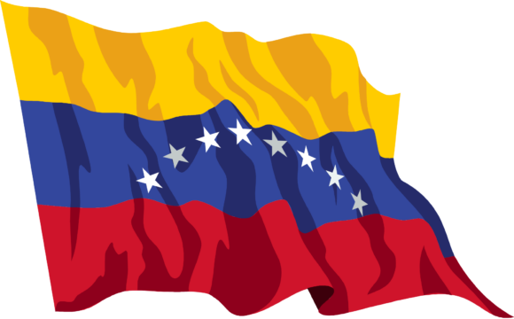 Venezuelan Flag