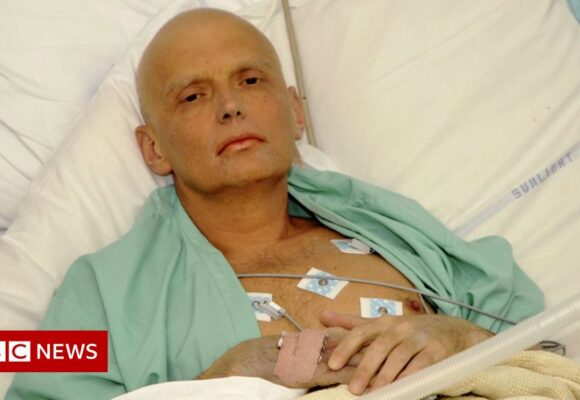 Alexander Litvinenko,